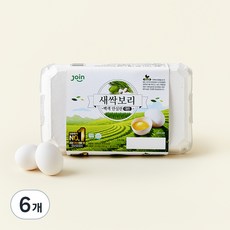 조인 새싹보리 백색 안심란 780g, 15구, 6개