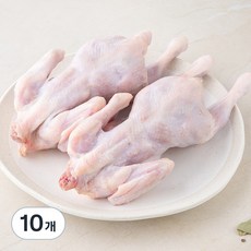 곰곰 유황먹여 키운 두마리 통닭 백숙용 (냉장), 1.1kg (550gx2개), 5개