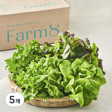 팜에이트 무농약 인증 유러피안 샐러드 꾸러미, 450g, 1개입, 5개