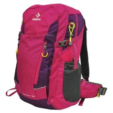 DIBOTE 迪伯特 專業登山休閒背包40L 1.52kg, 玫色