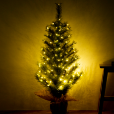 크리스마스 트리 LED 전구 포함 세트, 혼합색상, 100cm