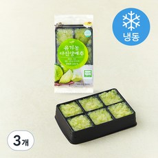 유기가공식품 인증 웰팜넷 유기농 다진양배추 (냉동), 100g, 3개