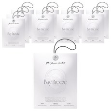 더클래스 퍼퓸 사쉐 차량용 방향제, 10개, 베이 브리즈