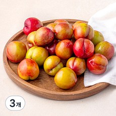 가족 의성 못난이 대석자두, 1.5kg(대), 3개