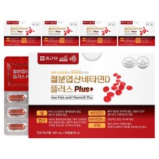 종근당 철분 엽산 비타민D 플러스, 60정, 5개