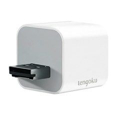 TENGOKU天閤堀 BP1 USB-A手機高速備份豆腐頭 充電備份二合一 安全加密晶片, 白色, 1個