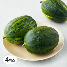 아주마 산지직송 고령 파파야 메론, 1.5kg(3~6입), 4박스