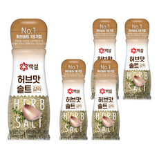백설 허브맛 솔트 마늘맛, 50g, 5개