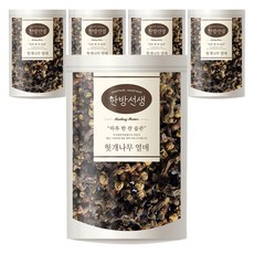 한방선생 국내산 헛개나무열매, 200g, 5개