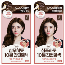 엘라스틴 샴푸하듯 10분 간편 염색제, 짙은갈색, 2개