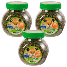 Canary 正午嫩採 22g C-S420, 貓薄荷, 3個