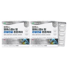 유한메디카 엠에스엠 엔 탑 관절연골 튼튼케어 121.68g, 120정, 2개