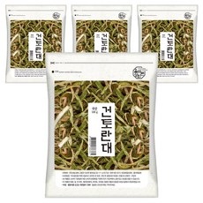 국산 건토란대, 4개, 100g