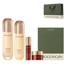 초공진 금설 영양케어 에센셜 2종 기획세트, 1세트