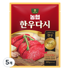 농협식품 한우다시, 300g, 5개