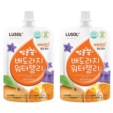 LUSOL 果凍 10個月以上, 桔梨橘子, 80g, 2包