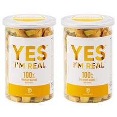 골드로니 강아지 예스아임리얼 든든 건조간식, 단호박, 70g, 2개