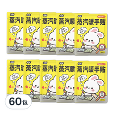 荷瞳 蒸氣暖手貼 2片, 60包