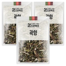 조은약초 곽향, 100g, 3개
