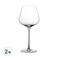 ROCHESTER 佈雷姆葡萄酒杯, 530ml, 2個