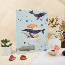 conifer 綠的事務 25K插畫 20孔孔夾 22.7 x 18 x 3cm, 大海鯨魚 藍色, 2個