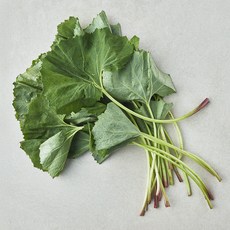 남해 머위, 80g, 1개