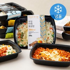 디자인푸드 밀리너스 알찬구성 도시락 9종 세트 (냉동), 1세트