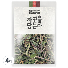 조은약초 금전초, 200g, 4개