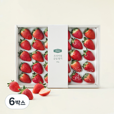 GAP 프리미엄 금실 딸기, 840g, 6박스