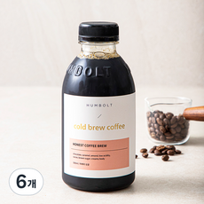 훔볼트 어니스트 피베리 싱글 콜드브루 커피, 500ml, 6개