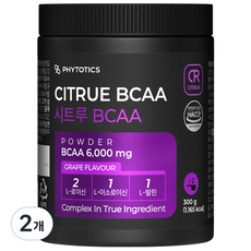 피토틱스 NEW 시트루 BCAA 포도맛, 2개, 300g
