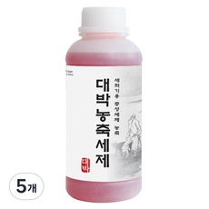 대박세제 업소 식기세척기 전용 농축세제, 5개, 1L