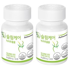 풀무원 슬림케어 녹차추출물, 2개, 24g