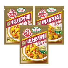 OTTOGI 不倒翁 百歲咖哩粉 辣味, 100g, 3包