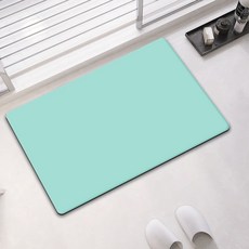 디씨네트워크 빨아쓰는 깨지지 않는 규조토 발매트, 민트