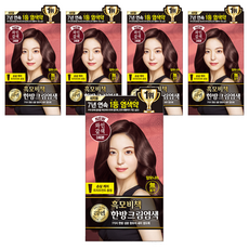리엔 흑모비책 한방크림염모제, 와인갈색, 5개