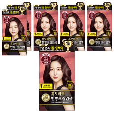 리엔 흑모비책 한방크림염모제, 와인갈색, 6개