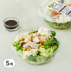 샐러드g 크림치즈 닭가슴살 샐러드, 170g, 5개