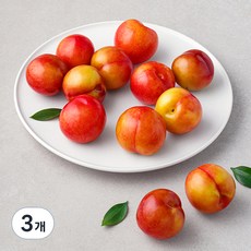 아주마 산지직송 저탄소인증 영동자두, 1.5kg, 3개