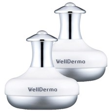 웰더마 페이스 아이 쿨링 마사지 스틱, 혼합색상, 2개