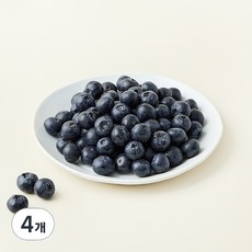 산지직송 아주마 무농약 인증 영동 대왕 블루베리, 250g, 4개