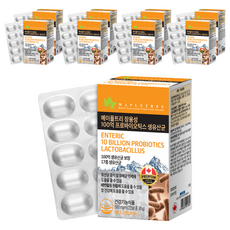 MAPLETREE 腸溶性100億益生菌 活性乳酸菌, 60錠, 9個