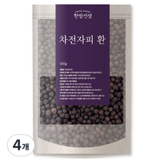 한방선생 차전자피 환, 250g, 4개