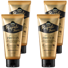 엘라스틴 프로폴리테라 손상 모발용 헤어트리트먼트, 300ml, 4개