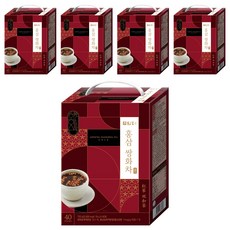 담터 홍삼 쌍화차, 18g, 40개입, 5개