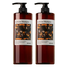 ARIAZ 咖啡因洗髮精, 1L, 2瓶