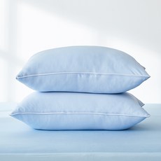 La Pomme The Ice 涼感枕頭套 2入