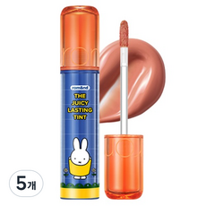 롬앤 더 쥬시 래스팅 틴트 3.5g, 39 미스티 피치, 5개