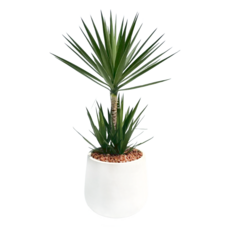 落地款 蛋形水泥盆 外直徑44cm 肚徑48cm 高45cm, 1個