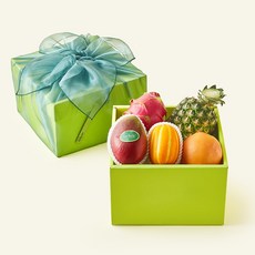 온브릭스 과일 5종 선물세트 옐로우그린 2호 + 보자기, 1개